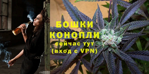 гидра Балахна